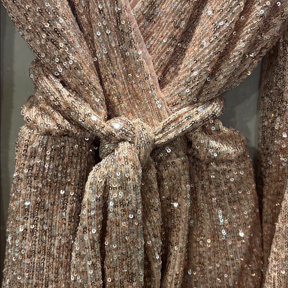 Endless Rose Sequin Blouse in Gold - Picture 2 of 7